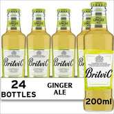 Britvic Spicy Ginger Ale Bottle 200ml (Case of 24)  Adomoo